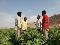 news_20260823_252.jpg